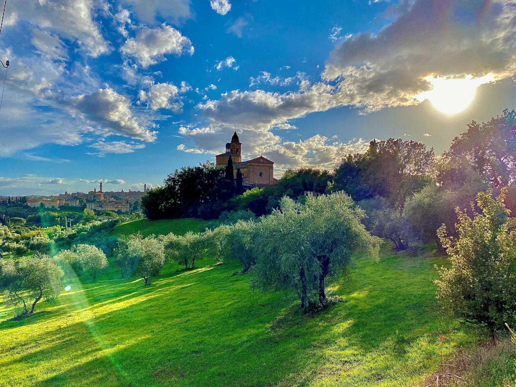 Palazzo Del Papa Country Suites Сиена Екстериор снимка